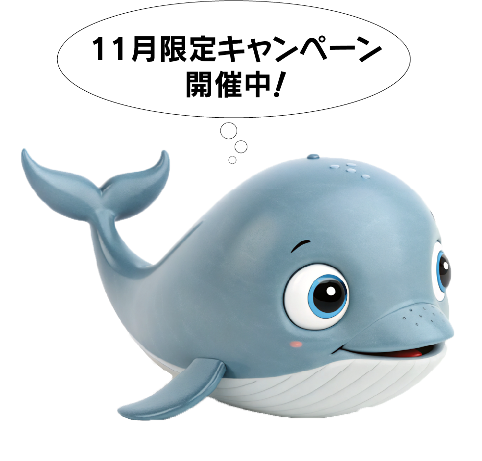 11月キャンペーン